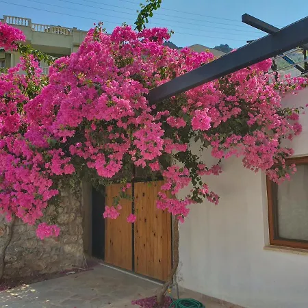 Apartment Nehir - Mugla *